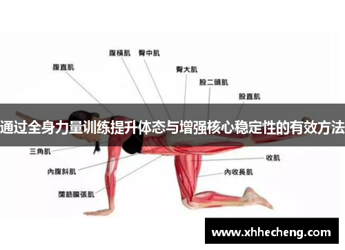 通过全身力量训练提升体态与增强核心稳定性的有效方法