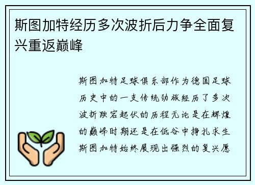 斯图加特经历多次波折后力争全面复兴重返巅峰